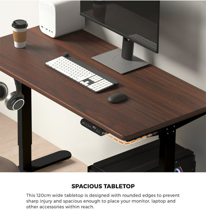 120cm Electric Standing Desk Single Motor Black and Walnut