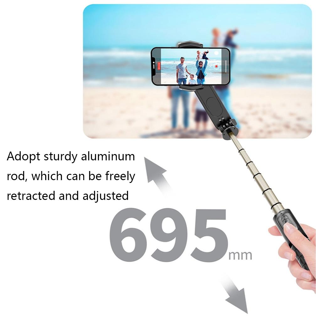 Handheld Stabilizer with Removable Fill Light and App - Black